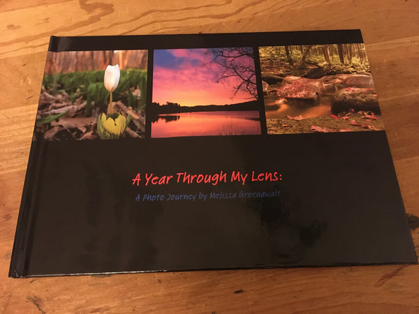 "A Year Through My Lens" Photo Book