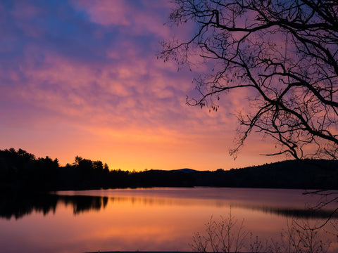 "Lavender Sunrise" Photograph